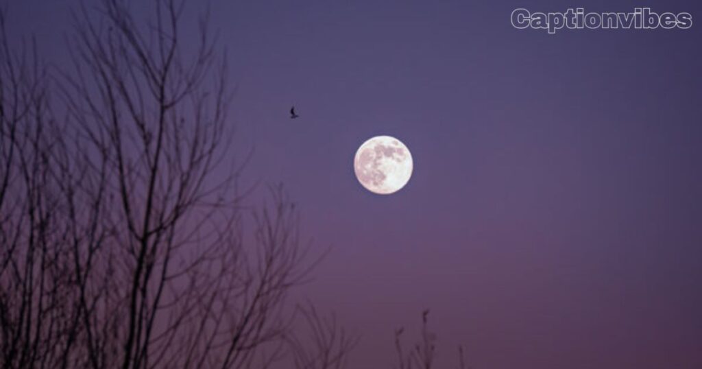 moon caption