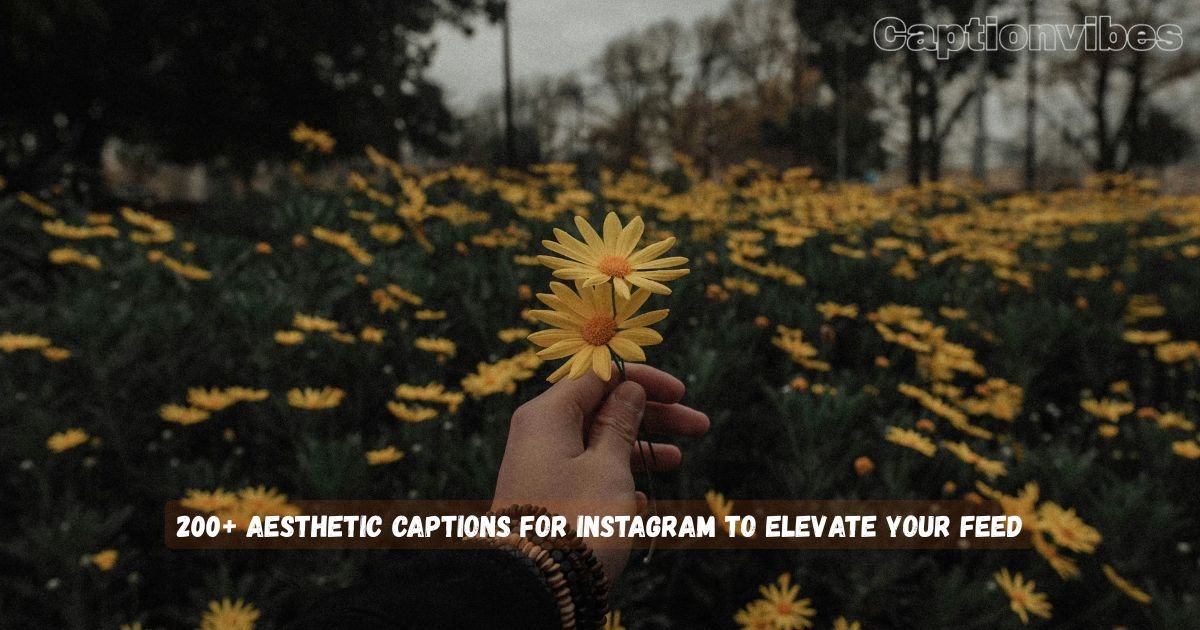 Aesthetic Captions for Instagram