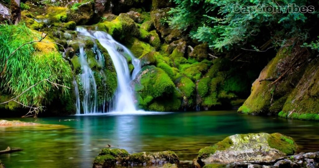 nature caption for instagram