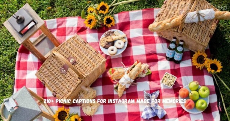 Picnic Captions for Instagram
