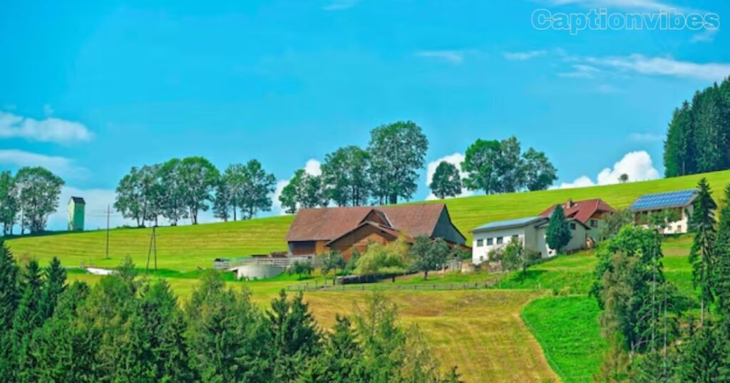 village farm captions for instagram