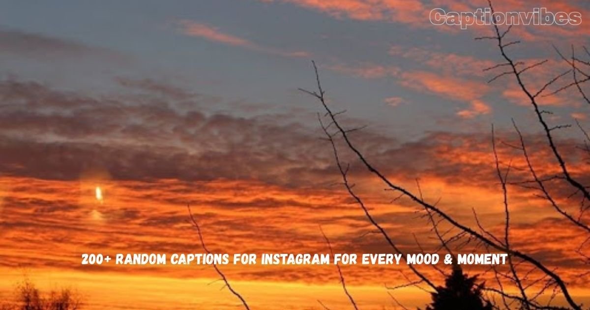 Random Captions for Instagram