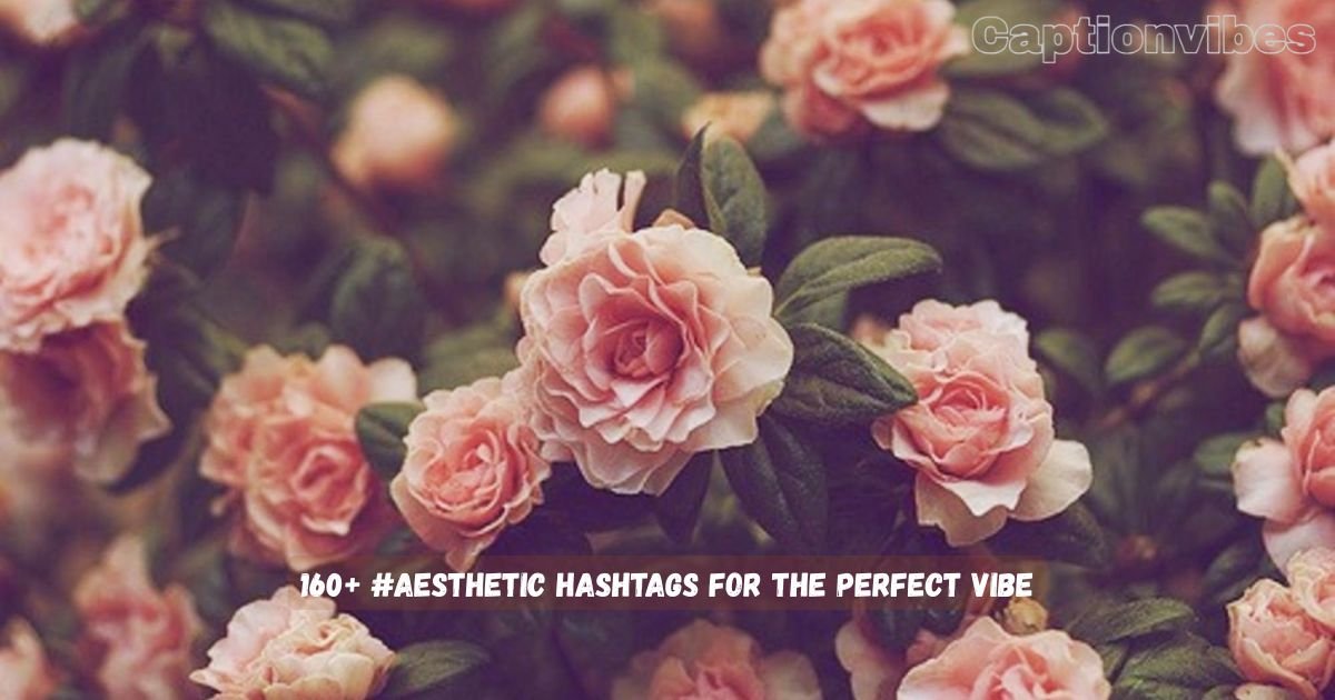 Aesthetic Hashtags